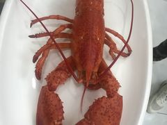 -九龙餐厅(大沽路店)