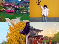 -华清宫景区