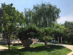 -春风习习
