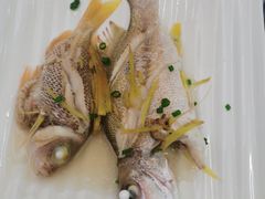 -小猫钓鱼海钓俱乐部(椰梦长廊店)