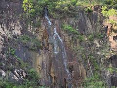 -中山市树木园