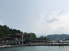 -金盆阿嬷香菇茶叶蛋(玄光店)