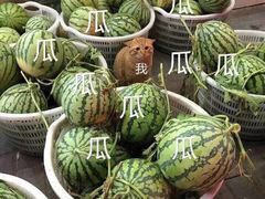 -老奶奶私房菜(天台里街店)