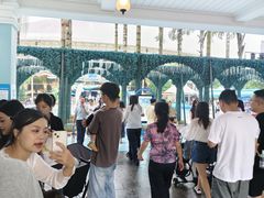 -海合安成都极地海洋公园