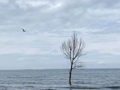 -青海湖二郎剑景区