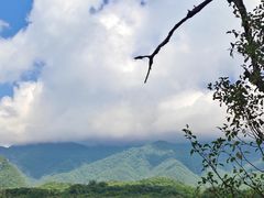 -大九湖