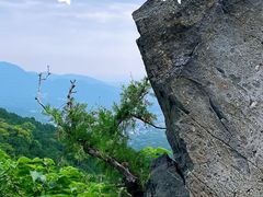-香山公园