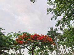 -白鹭洲公园