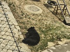 -石家庄市动物园