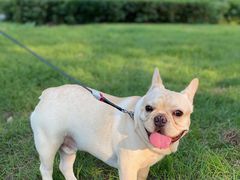 -蒲河岛湿地公园