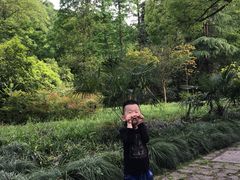 -法云古村