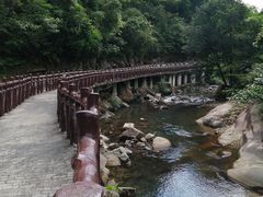 景点-广州市石门国家森林公园