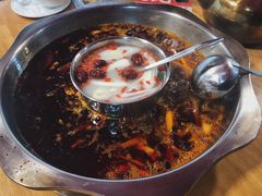 -金鼎雪山牦牛杂火锅(理县总店)