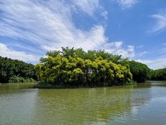 -大湾区中央湿地公园