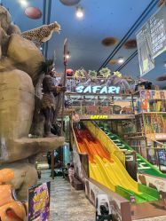 -卡通尼·Safari非洲探索乐园·生日会(金桥国际商业广场店)