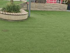 -爪吧宠物乐园 (温榆河示范区店)