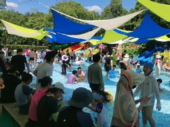 -苏州乐园森林水世界