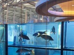-王家渡火锅店(棕榈泉店)