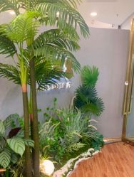 -八佰伴8008星级形象店