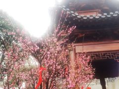 -宝通禅寺