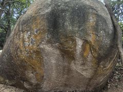 -火炉山森林公园