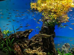 -太平洋海底世界