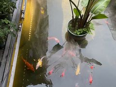 -印象泰和园(望丛西路店)