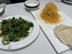 -丁老爷子苏香圆
