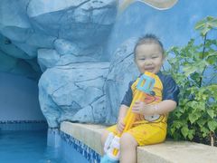 -重庆海昌加勒比海水世界
