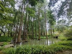 -杭州植物园