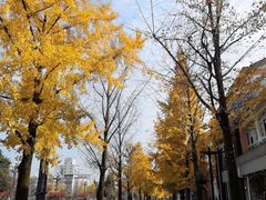 -北京烤鸭爱上川菜(中山路店)