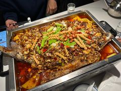 -京城·森鸽排档(双井店)