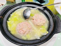 -丁老爷子苏香圆