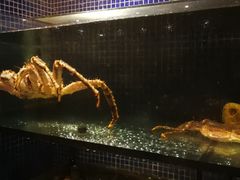 -万鱼亭 日本料理(无锡香山名园店)