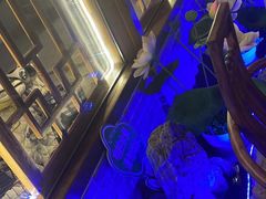 -唇辣号重庆老火锅(燕郊鑫乐汇店)