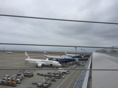 -中部国际机场