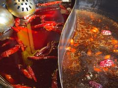 -蜀大侠火锅(总府路店)