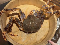 -耕海蟹将军(万象城店)