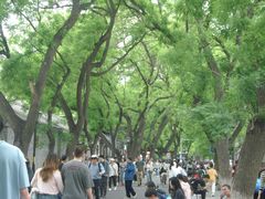 -北京国子监胡同