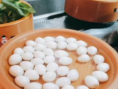 -龍歌自助小火锅(市南金茂湾店)