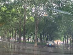 -西北农林科技大学(北校区)