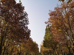 -石家庄市植物园