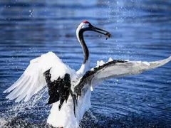 -香约老地方烧烤(九道街店)