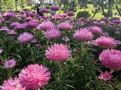 -上海植物园-4号门售票处