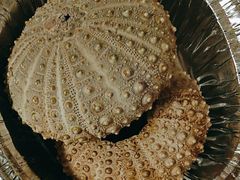 -四海蒸鲜蒸汽海鲜自助(北戴河店)