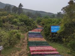-大姆山草场