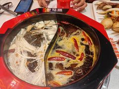 -老马路串串香火锅(北门桥店)