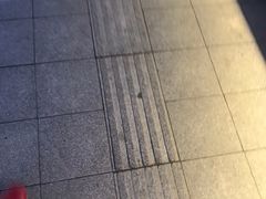 -哈尔滨大剧院