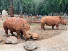-北京野生动物园