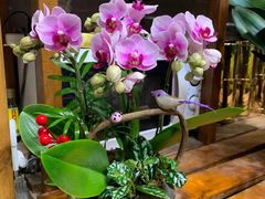 -双季花艺园艺市场(浦东店)